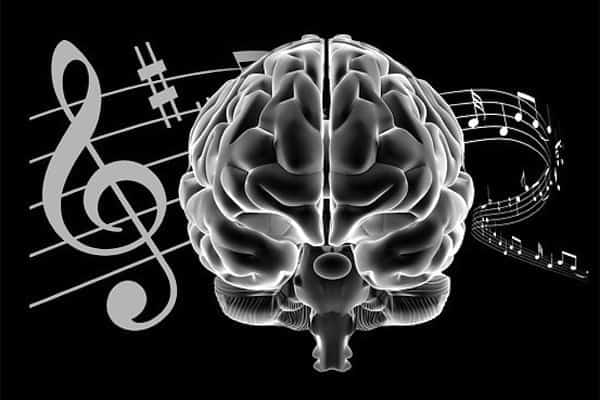 neuronas musicales