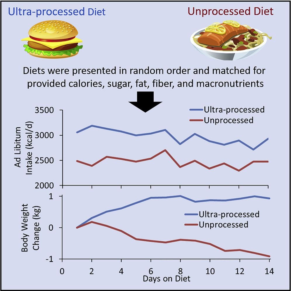 Los Alimentos Ultraprocesados y su Impacto en la Salud Cerebral 2