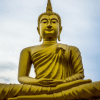 Reflexiones sobre las citas de Buda que perduran en nosotros.