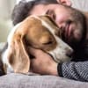 Las investigaciones demuestran que los perros pueden oler si alguien está estresado.